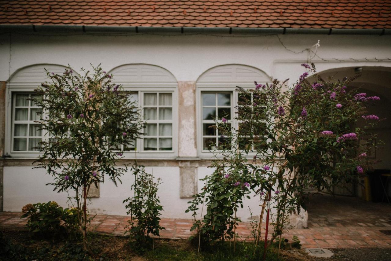 Plitzner Belvárosi Apartmanház Eger Exterior foto